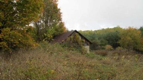 Vanishing - Mysterious-Disappearance8.jpg