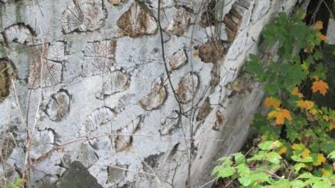 Mysterious Disappearance photo 5