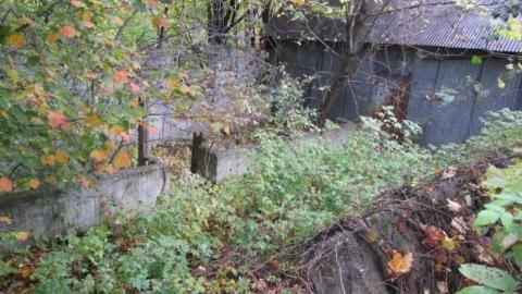 Mysterious Disappearance photo 3