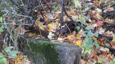 Vanishing - Mysterious-Disappearance4.jpg