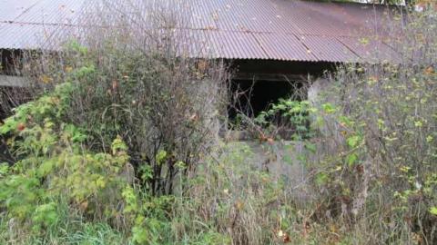 Vanishing - Mysterious-Disappearance16.jpg