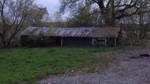 Photo from Walk about