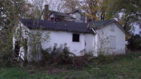 Photo from Walk about