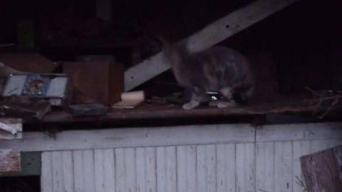 Walk about - DSCF1437.jpg