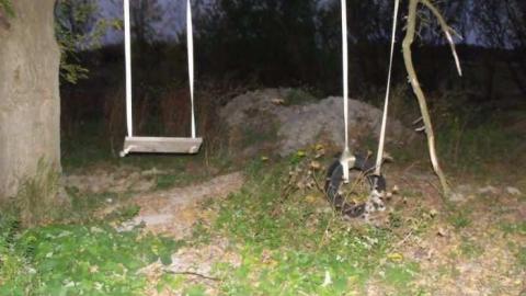 Walk about - DSCF1442.jpg