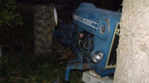 Walk about - DSCF1446.jpg