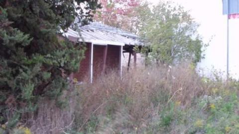 OLCO Gas Bar / House photo 2