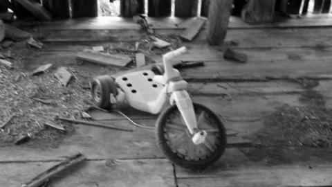 abandon farm with log cabin - Log-Cabin-and-Barns28.jpg