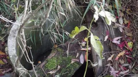 abandon farm with log cabin - Log-Cabin-and-Barns31.jpg