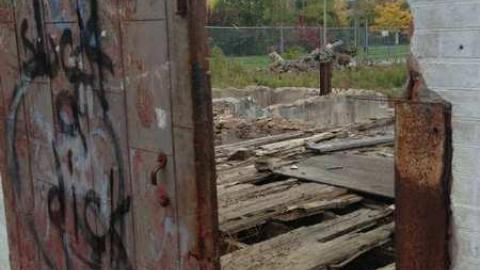 Geese! - Barber-Paper-Mill--Georgetown690.jpg