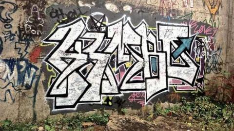 Geese! - Barber-Paper-Mill--Georgetown691.jpg