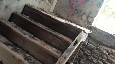 Geese! - Barber-Paper-Mill--Georgetown687.jpg