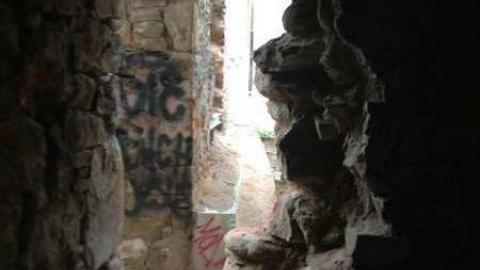 Geese! - Barber-Paper-Mill--Georgetown901.jpg