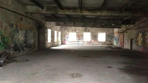 Geese! - Barber-Paper-Mill--Georgetown284.jpg