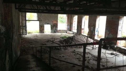 Geese! - Barber-Paper-Mill--Georgetown689.jpg