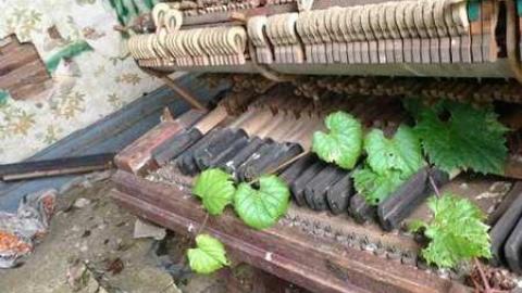 Not so Private - IMG_0041.jpg