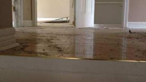 Breaking and Entering photo 4