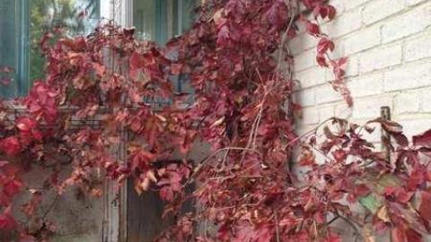 Messy Messy - Due-For-Demolition8.jpg