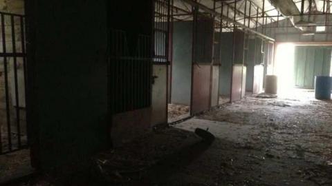 Messy Messy - Due-For-Demolition16.jpg