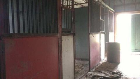 Messy Messy - Due-For-Demolition7.jpg