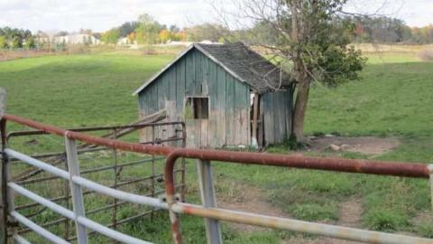 Green Hut and Stable - Green-Hut-and-Stable9.jpg