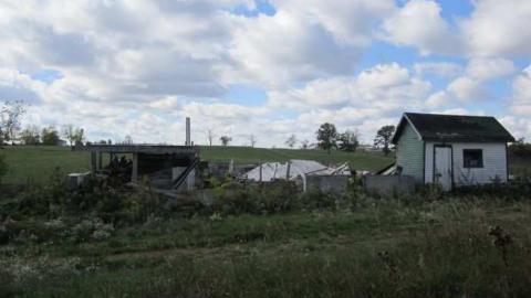 Green Hut and Stable - Green-Hut-and-Stable10.jpg