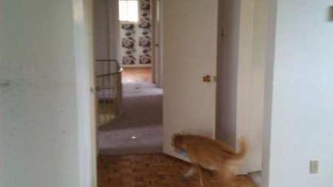 another Milton vacancy - Asian-Influence7.jpg