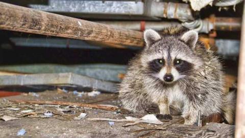 Kodak number 9 - IMG_1293.jpg