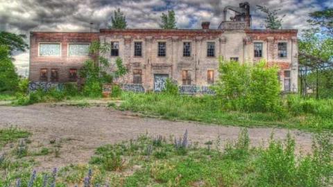 Total abandonment - Linseed-Factory345.jpg