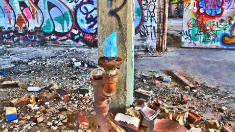 Total abandonment - Linseed-Factory350.jpg