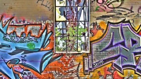 Total abandonment - Linseed-Factory365.jpg