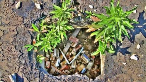 Total abandonment - Linseed-Factory351.jpg