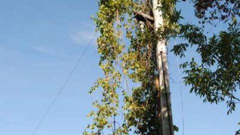 Radar Tower, Summer 2012 - Military-Radio-Tower66.jpg