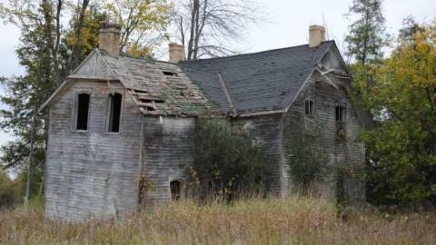 Photo from Back Road Beauty