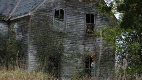 Photo from Back Road Beauty