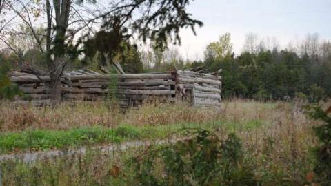 Photo from Back Road Beauty