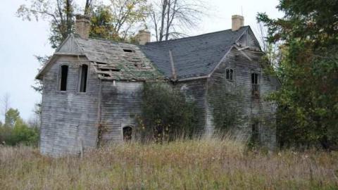 Photo from Back Road Beauty