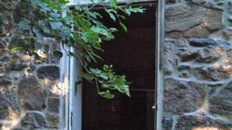 Sweet Summer Visit cover photo