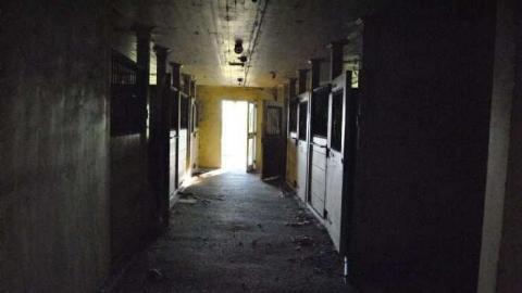 Sweet Summer Visit - MagnerRobson-Home-(1860)4.jpg