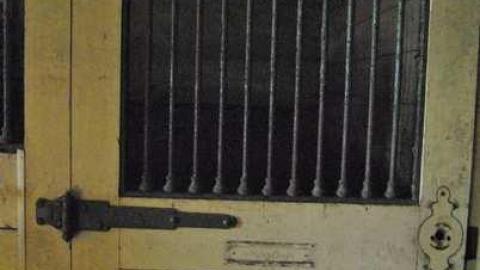 Sweet Summer Visit - MagnerRobson-Home-(1860)13.jpg