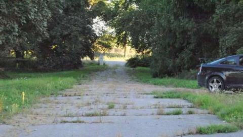 Photo from Sweet Summer Visit