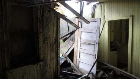 Old Creeper - IMG_1435.jpg