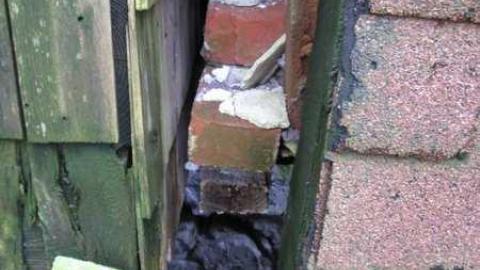 Old Creeper - IMG_1441.jpg