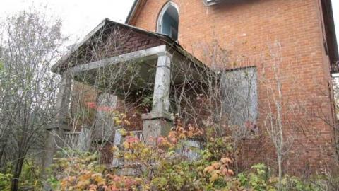 Old Creeper - IMG_1442.jpg