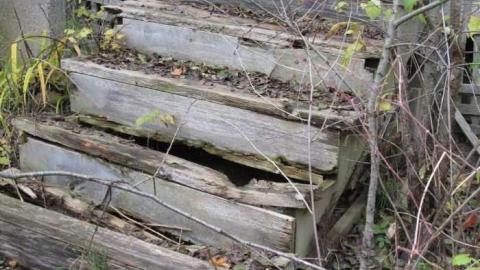 Old Creeper - IMG_1444.jpg