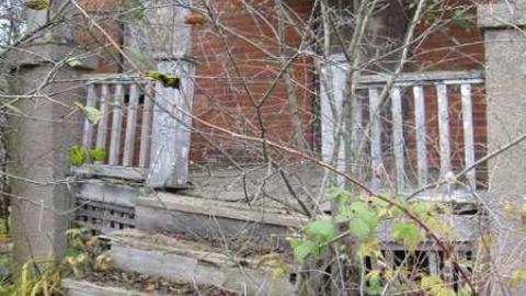 Old Creeper - IMG_1446.jpg