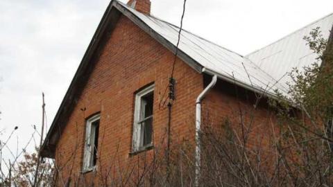 Old Creeper - IMG_1403.jpg