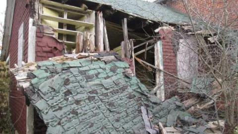 Old Creeper - IMG_1406.jpg