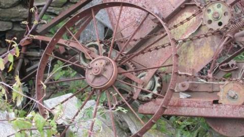 Old Creeper - IMG_1412.jpg