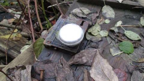 Old Creeper - IMG_1414.jpg